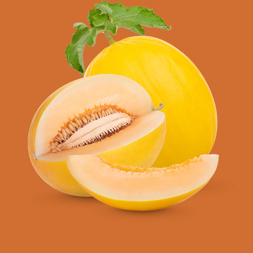 Melon